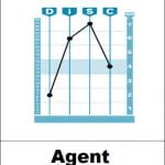 Agent Graph for DiSC Profiles