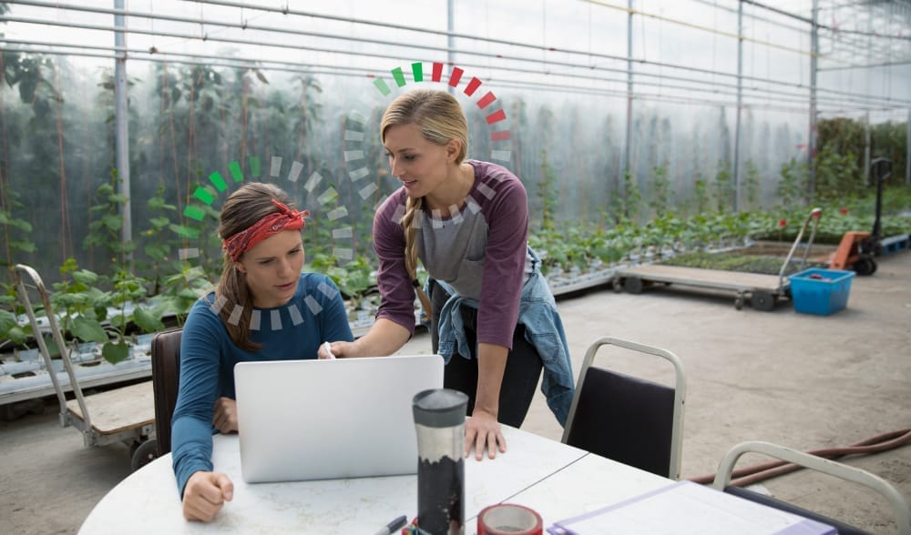 team members working in a green house