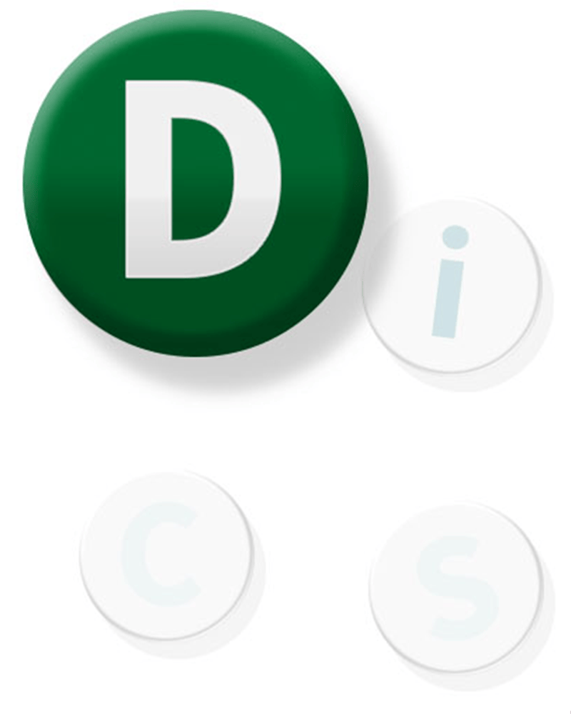 D-Style DiSC