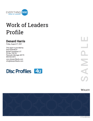 Everything DiSC® Work of Leaders™ Profile