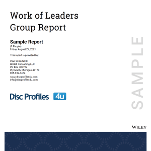 Work of Leaders Group Report