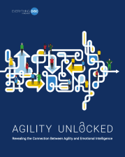 Agility Unlocked eBook