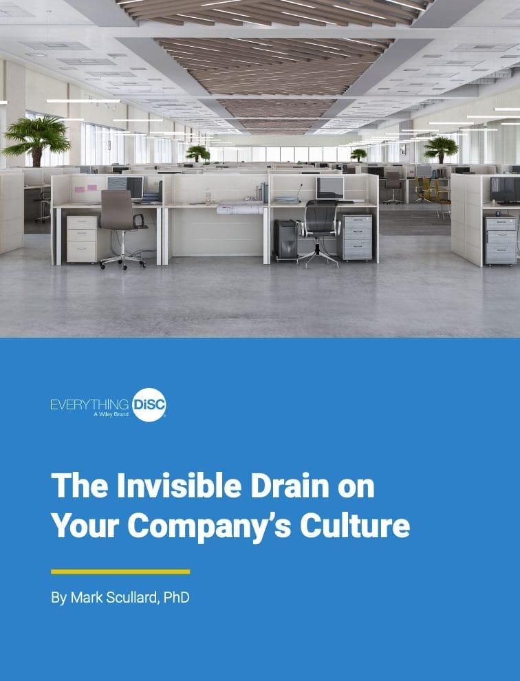 The Invisible Drain eBook